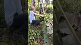 Trek Gorilla Safaris