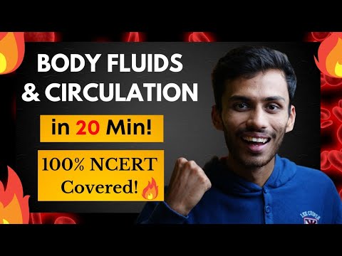 Body Fluids & Circulation FAST One SHOT!🔥 | Full Revision in 20 Min | NCERT | Class 11 | NEET