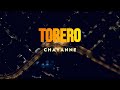 Chayanne - Torero Letra
