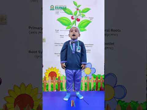 Video 3