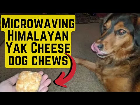How To MICROWAVE Himalayan Dog Chews (Make Yak Chews Last LONGER!)