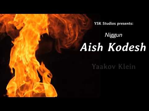 Niggun Aish Kodesh - A Tribute to the Piacezner Rebbe zy"a and his Kingdom of Children