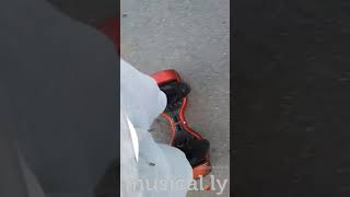 Alonzo Génération X or