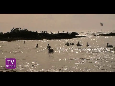 Caleta Duao (Licantén) - Región del Maule [12/10/2014]