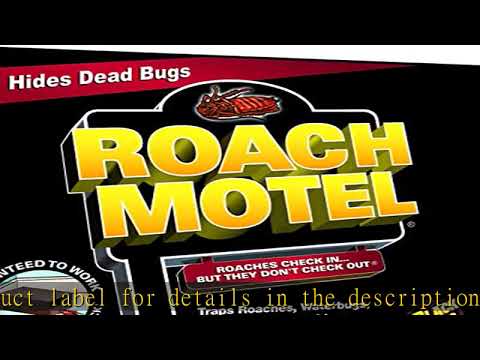 Black Flag Roach Motel Traps, 2-Count, 1-Pack
