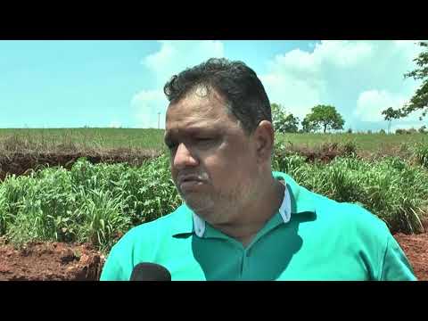 Trabalho de limpeza na estrada 27