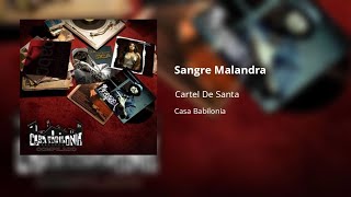Cartel De Santa - Sangre Malandra