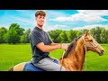 Mein 1 Mal Reiten