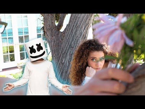Marshmello & Anne-Marie - FRIENDS (Music Video by Sofie Dossi)