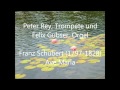 Franz Schubert: Ave Maria (B-Trompete und Orgel ...