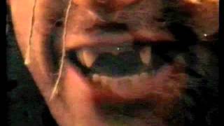 Hunters and Collectors - Talking to a Stranger (1982)