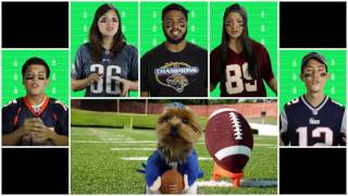 NFL On Fox Theme - Cover (A Cappella) - Backtrack - SideTrack #1