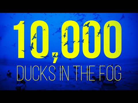 HIGDON OUTDOORS TV - 1008 - "10,000 Ducks in the Fog"