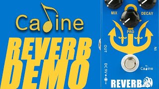 Video thumbnail for Caline - Seahawk CP-98 Reverb - Demo by Ryan Lutton