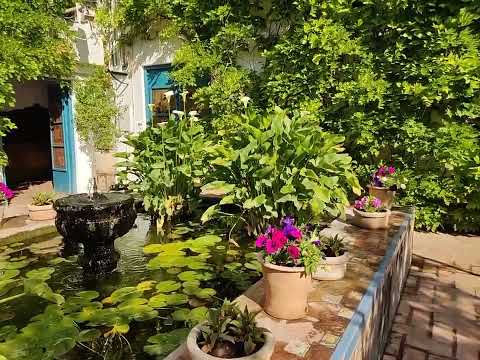 حديقة قصر فيانا (قرطبة) Al´Albaraka Haifa Kareemah