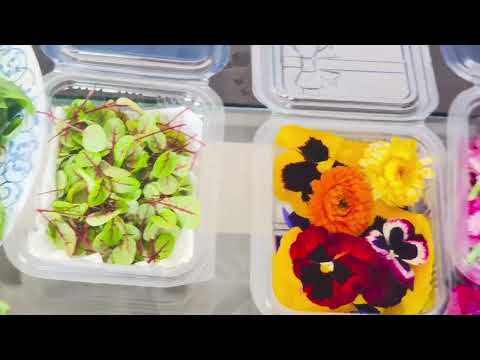 Freshness in Every Bloom | Edible Flowers | Greenu Microgreen