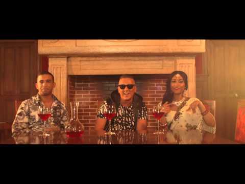 DJ Kayz feat. Mister You , Dr Zeus & Sophia Akkara - Jugni Ji (Clip Officiel)