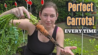 Grow PERFECT Carrots - From Seed to Harvest