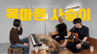 [NEWGEN LIVE] 목마른 사슴이 THE DEER IS LONGING FOR I CAFE WORSHIP I Coffee W&T I 김태홍