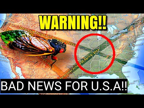 PREPARE!! 2024 Solar Eclipse And Cicadas Scary Prediction