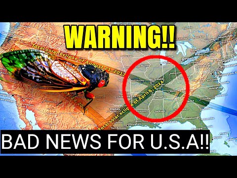 Prepare 2024 Solar Eclipse And Cicadas Scary Prediction