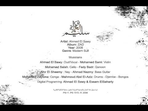 Ahmad El-Sawy - ZAD (Album Demo)