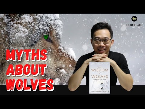 The Wisdom of Wolves Book Summary | Elli Radinger