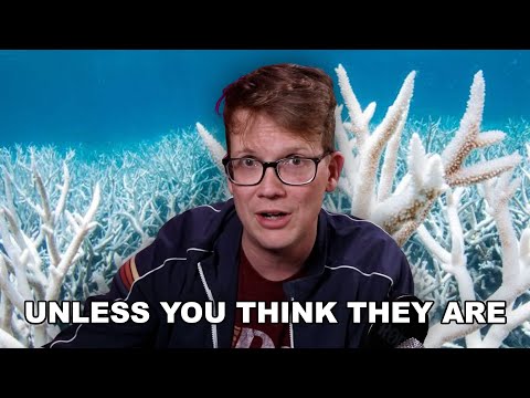 Coral Reefs Are Not Doomed.