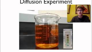 Diffusion Demo Diffusion Demo