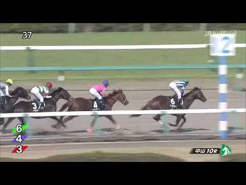 2019.03.31 Fukuryu Stakes (JPN) - Der Flug