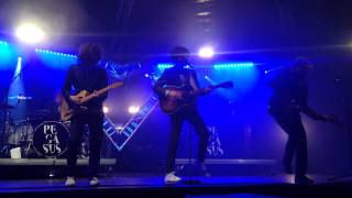 PEGASUS - Symptoms - Live