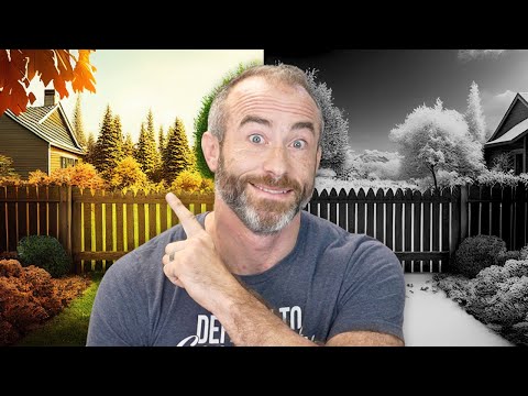 Show vs Tell in Writing: The Clear Definition and How to Get It Right