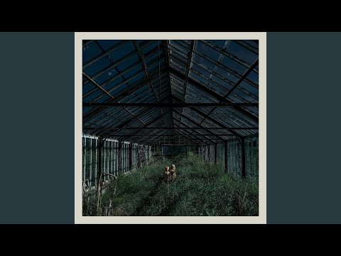Eiffel - Foxing