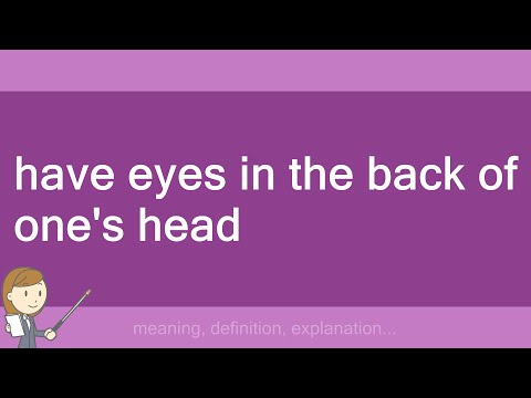 have eyes in the back of one's head