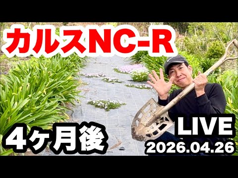 やっちゃんねる様 　◆【カルスNC-R】4ヶ月後のリアルをお伝えします！