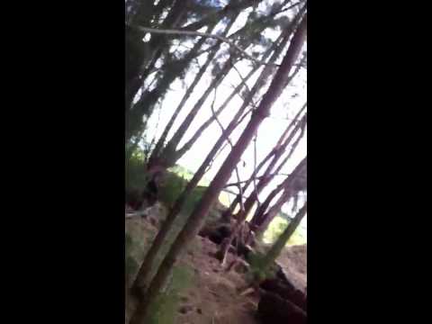 Pb Matrix Capture The Flag My POV