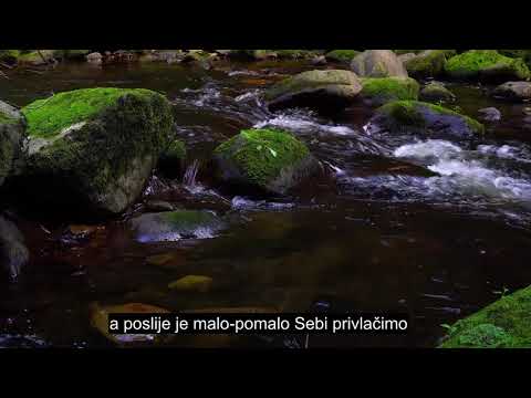 Poglavlje 25 Kriterij, Emocionalna Recitacija Kur'ana, Titlovi Na 90+ Jezika