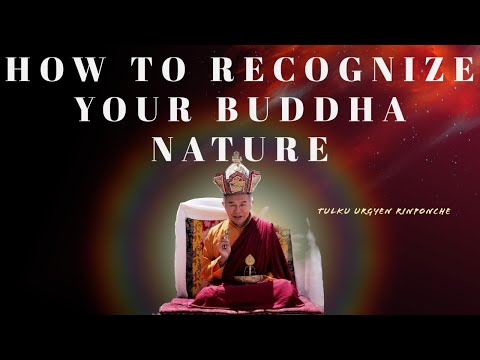How To Recognize Your Buddha Nature- Mindfulness- TULKU URGYEN RINPOCHE- Rainbow Painting