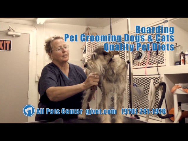 All Pets Center - Kenneth Summers, D.V.M. - Grand Junction, CO