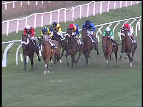 Galoppo 04/01/2015 - 4° corsa