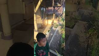 Download lagu Villa Lembah Cawene Hills#villa#CaweneHills#Pamijahan#Bogor mp3