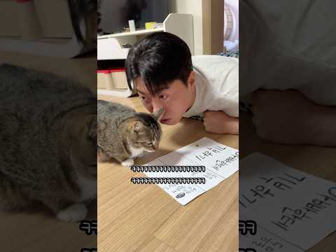 100만 기념 1000만원 기부하는 고양이