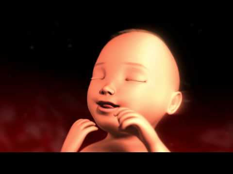 Pregnancy week by week: 35 to 40  - Pancitas.com