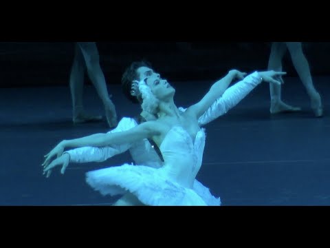 Yaroslavna Kuprina (debut) in ballet Swan Lake