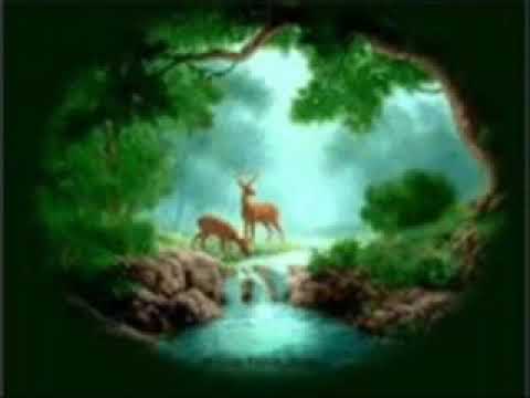 Ke  ayal ta´arog -  Psalm 42(사슴이 목마름 같이)