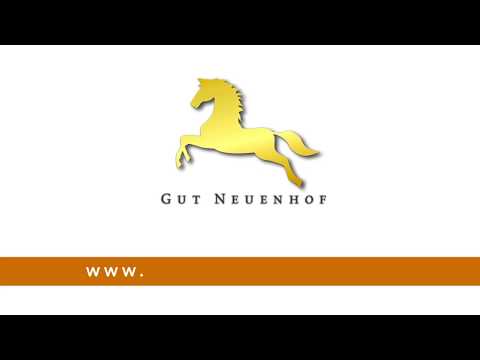 St.Pr.St.Emilia v. Escolar-Show Star