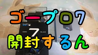 ゴープロ7開けてみたぁぁ