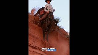 Download lagu Momen unik coboi cowboy dengan kuda #animals mp3 Download lagu Momen unik coboi cowboy dengan kuda #animals mp3
