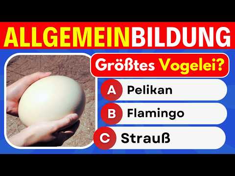 General knowledge quiz: 30 questions for more general knowledge