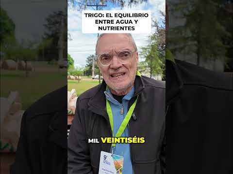 #Trigo 2026  Claves de #Riego y Nutrición Eficiente - Jorge Fraschina, INTA MARCOS JUÁREZ